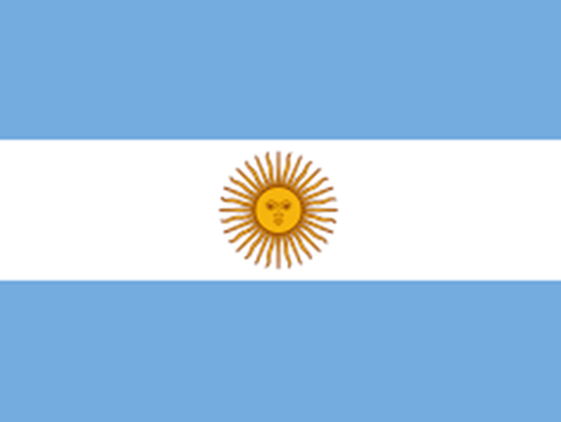 Argentine Gem Painting Kit