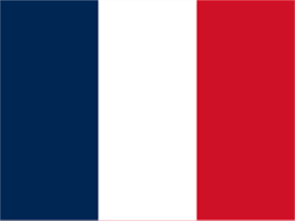 France Gem Painting Kit